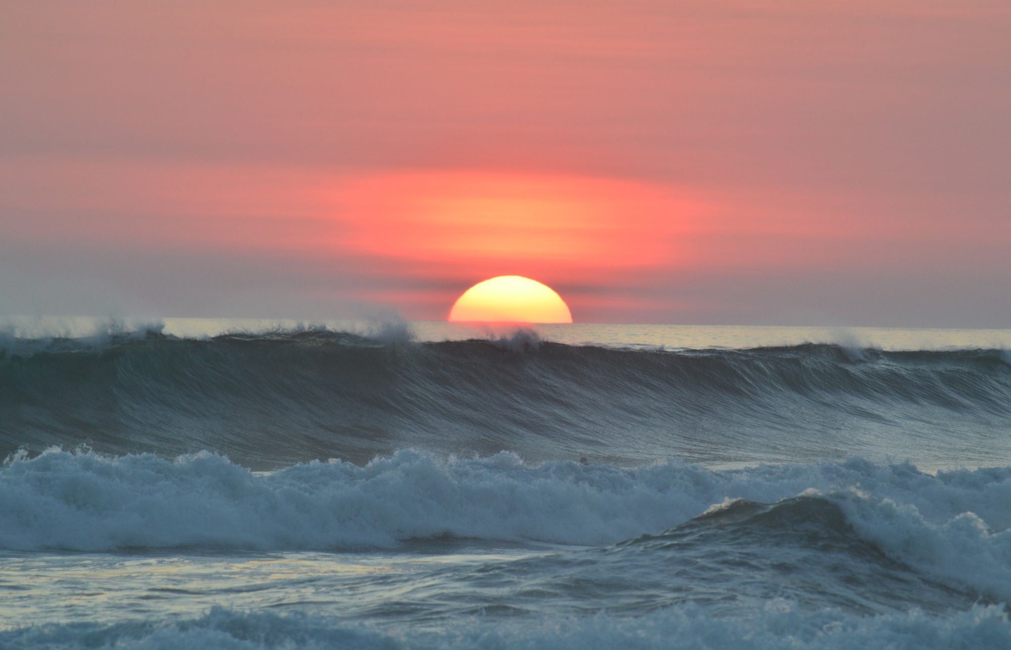 SOS Initiative: Donating with Every Order