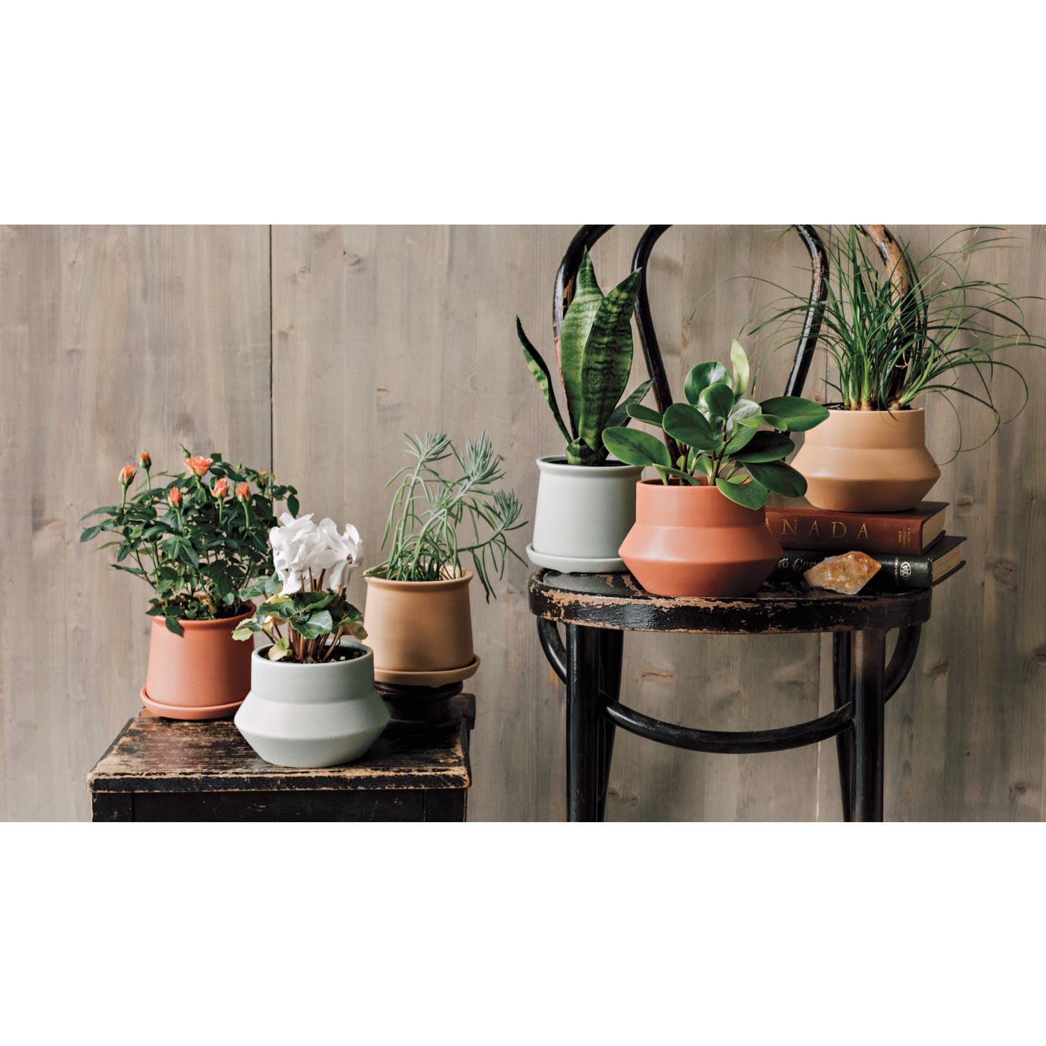Nest Plant Pot