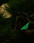 Enamel Pin | Glow-in-the-Dark Spanish Moon Moth