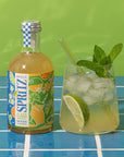 Cocktail Mixer | Elderflower Mint Spritz