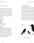 Book | Pocket Nature: Bird-Watching