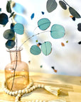 Stained Glass | Silver Dollar Eucalyptus Stem