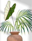 Stained Glass | Tropical Green Large Alocasia Leaf