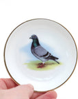 Ring Dish | Pigeon