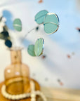 Stained Glass | Silver Dollar Eucalyptus Stem