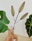 Stained Glass | Sage Sprig