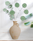 Stained Glass | Silver Dollar Eucalyptus Stem