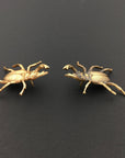 Insect Pin | Brass Stag Beetle