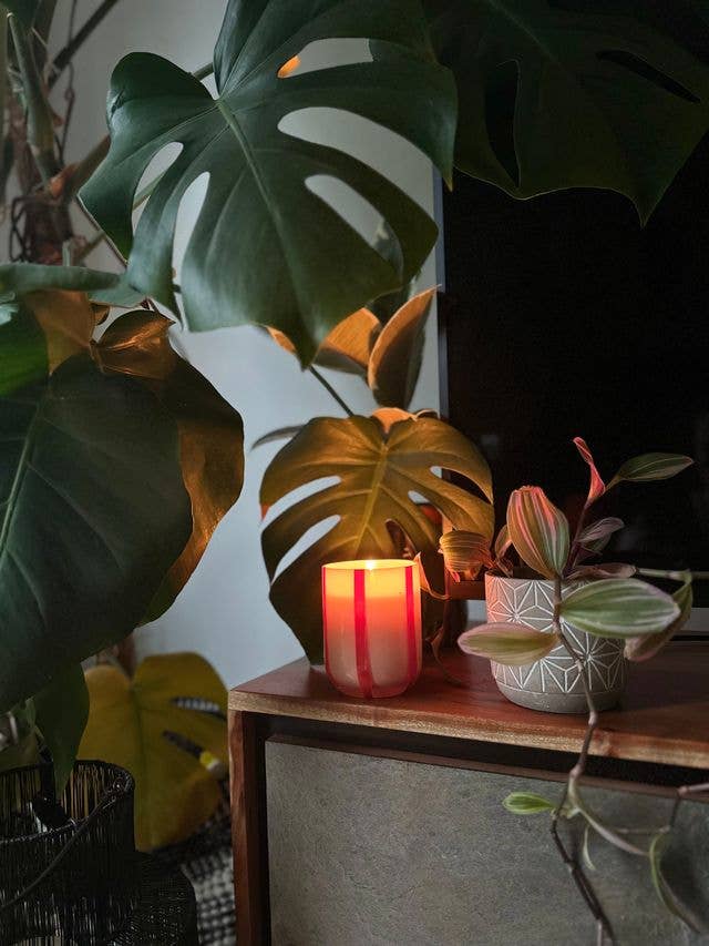Colorful glass candle with orange blossom & basil scent. Made with clean-burning soy wax. Reuse the striped vessel as bold, playful glassware.