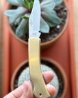 Folding Knife | Brass Lockback
