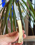 Folding Knife | Brass Lockback
