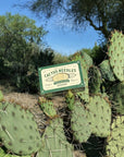 Cactus Needles toothpicks are a fun Southwest souvenir or party pick. Made from eco-friendly and durable bamboo, they’re perfect for appetizers and baking.