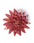 Ceramic Flower Wall Art | Blush Pink Strawflower