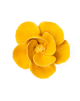 Bring everlasting blooms into your space with ceramic flowers—beautiful, handmade pieces that add a touch of nature-inspired charm without the upkeep. Each flower comes packaged in a lovely gift box and features a keyhole back, so you can display it on a wall or style it on a tabletop. Perfect for creating a blooming statement that never fades.