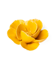 Bring everlasting blooms into your space with ceramic flowers—beautiful, handmade pieces that add a touch of nature-inspired charm without the upkeep. Each flower comes packaged in a lovely gift box and features a keyhole back, so you can display it on a wall or style it on a tabletop. Perfect for creating a blooming statement that never fades.