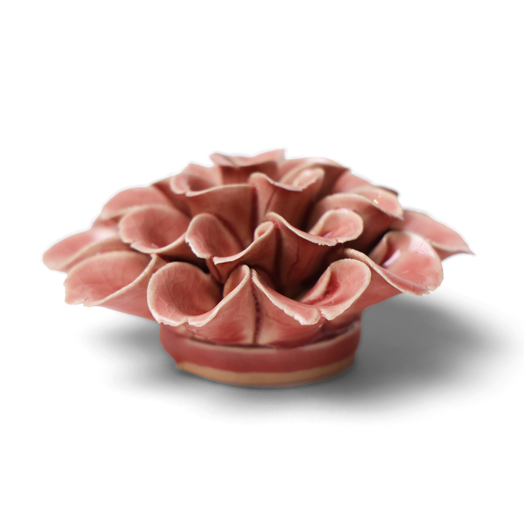 Ceramic Flower Wall Art | Champagne Pink Hydrangea – Son of a Sailor