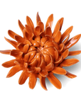 Bring everlasting blooms into your space with ceramic flowers—beautiful, handmade pieces that add a touch of nature-inspired charm without the upkeep. Each flower comes packaged in a lovely gift box and features a keyhole back, so you can display it on a wall or style it on a tabletop. Perfect for creating a blooming statement that never fades.