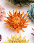 Bring everlasting blooms into your space with ceramic flowers—beautiful, handmade pieces that add a touch of nature-inspired charm without the upkeep. Each flower comes packaged in a lovely gift box and features a keyhole back, so you can display it on a wall or style it on a tabletop. Perfect for creating a blooming statement that never fades.