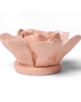 Bring everlasting blooms into your space with ceramic flowers—beautiful, handmade pieces that add a touch of nature-inspired charm without the upkeep. Each flower comes packaged in a lovely gift box and features a keyhole back, so you can display it on a wall or style it on a tabletop. Perfect for creating a blooming statement that never fades.