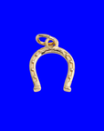 Charm | Horseshoe