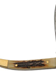 Toothpick Knife | Stag & Brass with Damascus Steel Blade