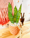 Handmade stained glass snake plant with 4 sculpted leaves. A cat-friendly, zero-maintenance houseplant alternative. Perfect for colorful home decor.