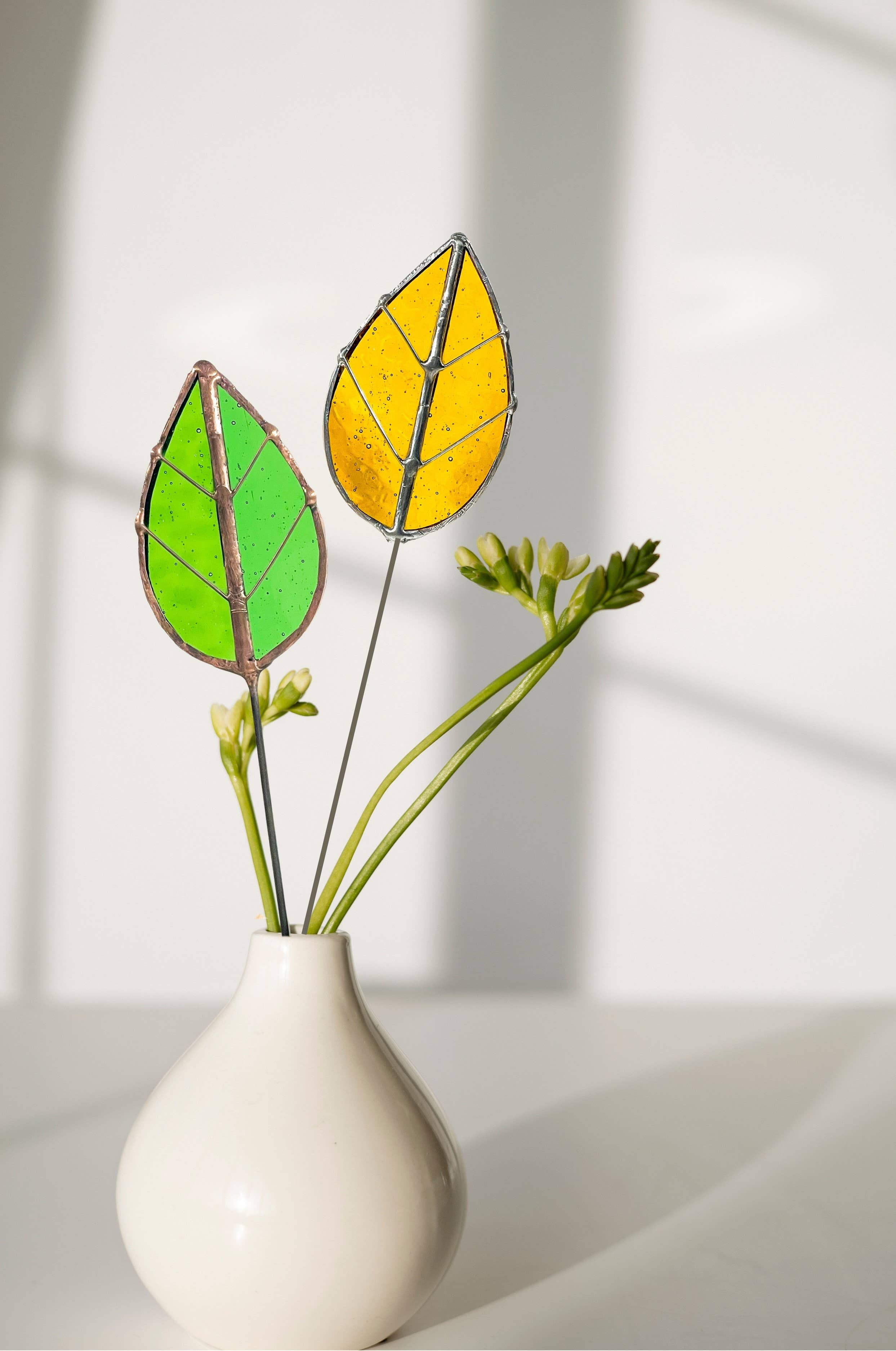 Stained Glass | Oval Leaf Flora