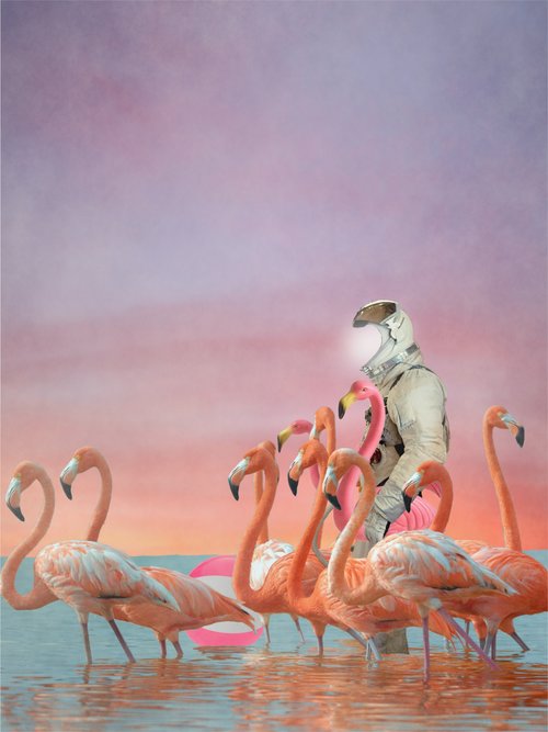 Art Print | "The Decoy" by Jason Brueck