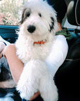 Now you can customize our Willis Eastwood pet line by choosing your paint colors! Choose the perfect colors to reflect your pet's style! For the toughest little guy or the biggest softie, the Willis collar brings colorful personality to a classic leather design for your pet. Natural leather collar features 5 holes for the perfect fit. Finished with brass hardware and your choice of color block.