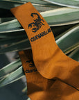 Socks | Quesadillas Scorpion