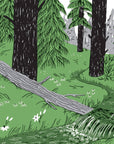 Book | Pocket Nature: Tree Hugging