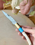 Folding Pocket Knife | Bone & Turquoise Damascus Steel