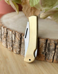 Folding Knife | Brass Lockback