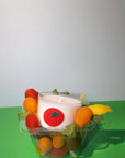 Coconut Soy Candle | Mis Plantitas Tomato