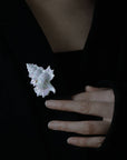 Ceramic Brooch | Conch Pin