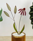Stained Glass | Sage Sprig