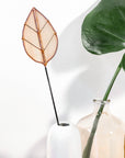 Stained Glass | Oval Leaf Flora