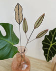 Stained Glass | Sage Sprig