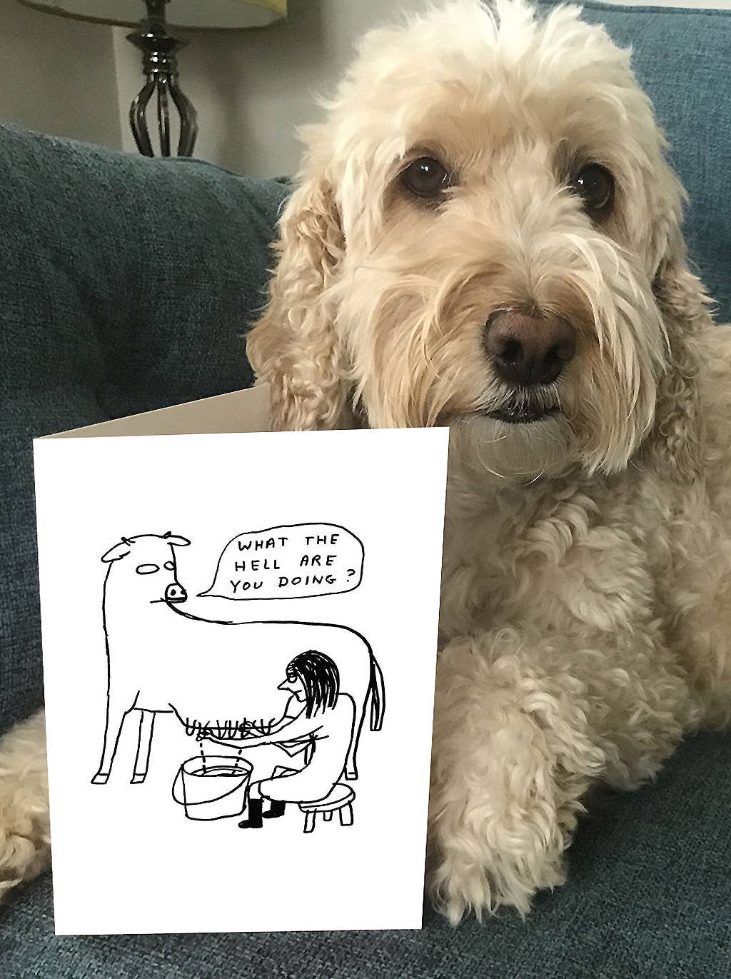 Greeting Card | What The Hell