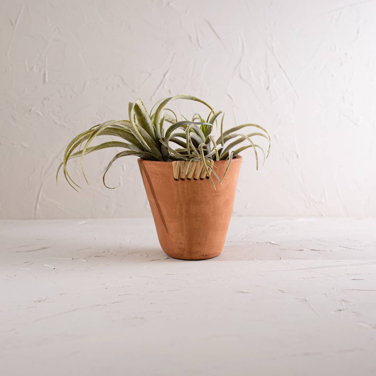 Mesa Terracotta Planter – Son of a Sailor