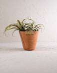 Mesa Terracotta Planter