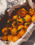 Marmalade | Ruby Valencia & Apricot
