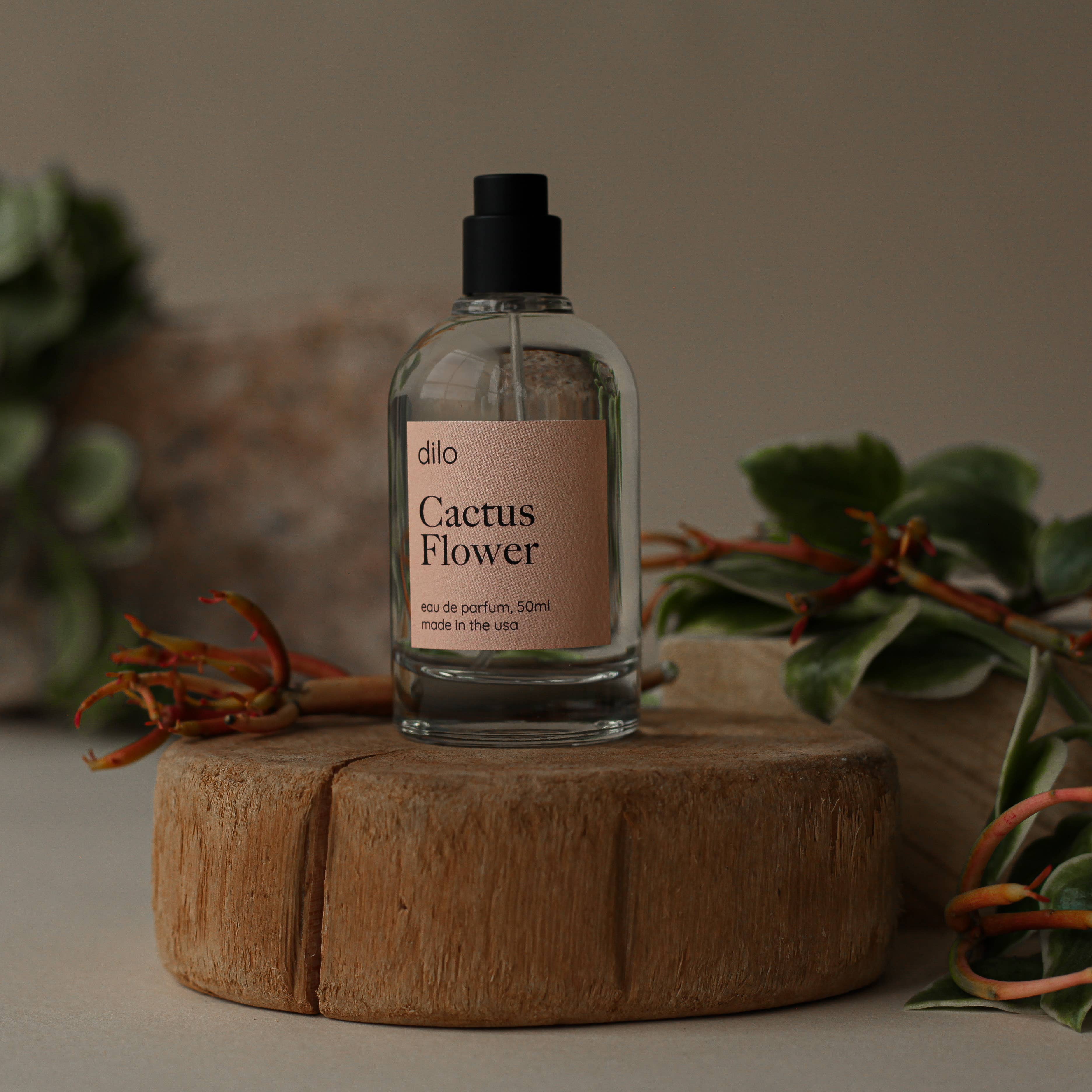 dilo Fragrance | Cactus Flower