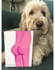 Show off your cheeky side with our Greeting Card featuring a humorous illustration of a bum. Perfect for any occasion, this dry-humored, blank card lets you make your own jokes (or use one of ours!). Get ready to turn some heads (and cheeks) with this quirky card!