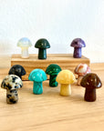 Teeny Tiny Magical Crystal Mushroom