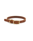 Willis Leather Collar