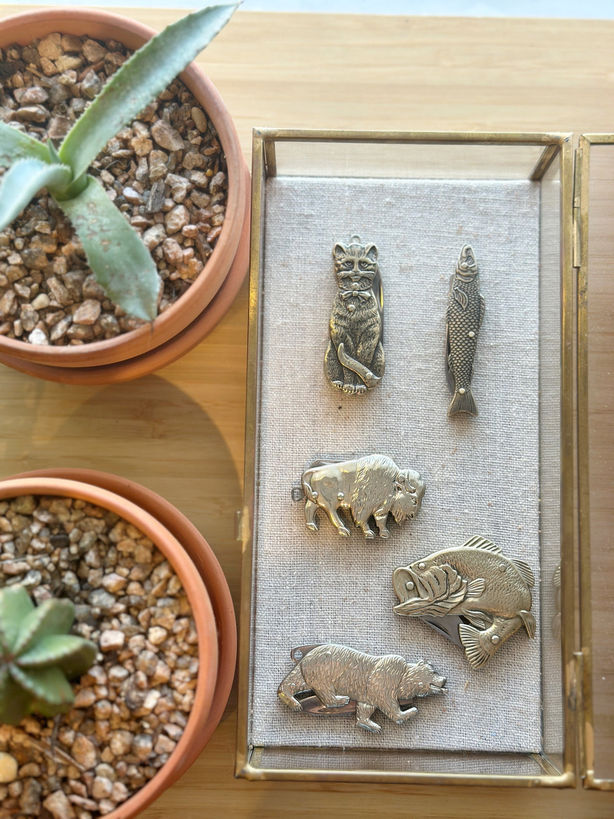 Brass animal pocket knives displayed among potted cacti