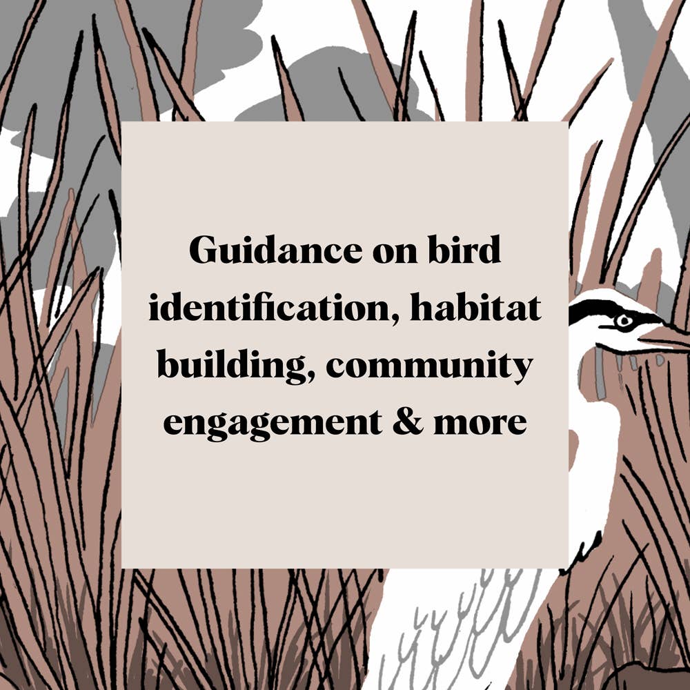 Book | Pocket Nature: Bird-Watching