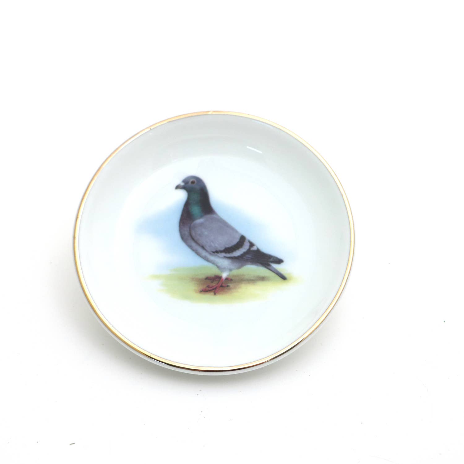 Ring Dish | Pigeon
