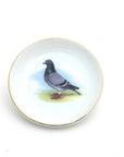 Ring Dish | Pigeon